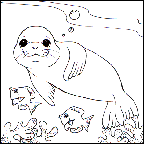 Coloring Pages on Color A Monk Seal