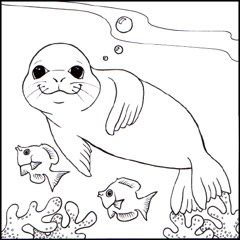  Coloring on More Pages To Color To Learn More About Monk Seals