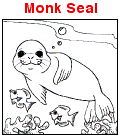 Monk Seal