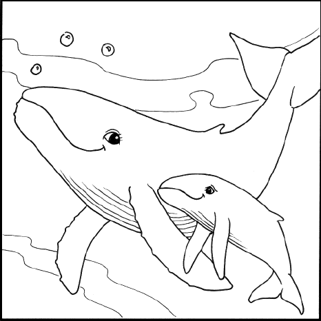 Coloring Pages  Kids Online on Color A Humpback Whale