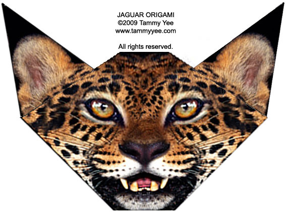 Jaguar stuff deals