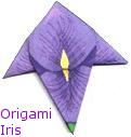 Iris Origami