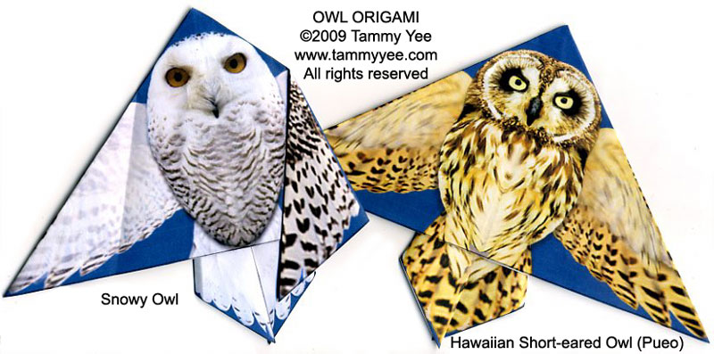 Owl Origami