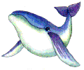 whale